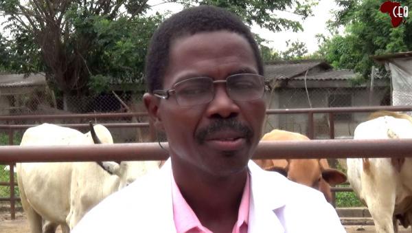 CEOAfrica :: IAR&T Professor highlights benefits of embracing ranching to  farmers, herders, stakeholders :: Africa Online News Portal